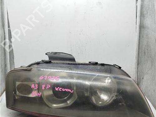 Used Right headlight RENAULT CLIO III (BR0/1, CR0/1) 1.2 16V (BR0P, CR0P) (101 hp) 29017486