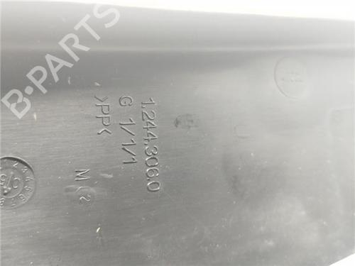 Left mirror RENAULT CLIO III (BR0/1, CR0/1) 1.5 dCi (BR17, CR17) | BP23333344C26 