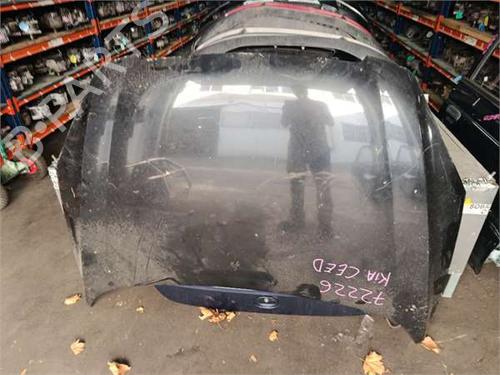 Used Hood Hood 38491845 38491845