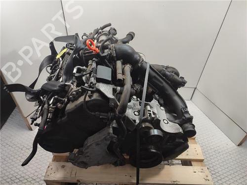 Used Engine VW GOLF VI (5K1) 1.6 TDI (105 hp) 30189069