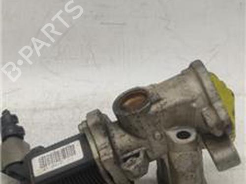 Used Egr FIAT GRANDE PUNTO (199_) 1.3 D Multijet (75 hp) 25858803