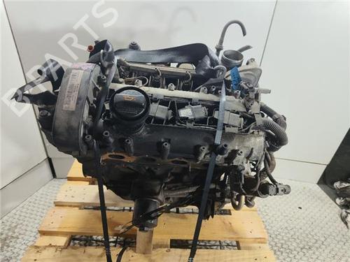 Motor für Motor VW GOLF IV (1J1) 1.6 16V (105 hp) 34049776 34049776