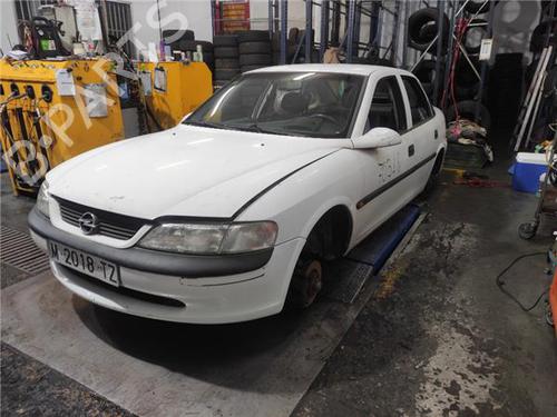 Used Parts OPEL VECTRA B (J96) 1.7 TD (F19) (82 hp) 4320328