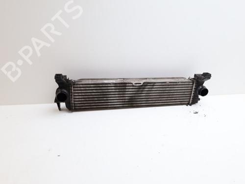 Used Intercooler Intercooler MERCEDES-BENZ VITO Van (W447) 111 CDI (447.601, 447.603, 447.605) (114 hp) 22432719 22432719