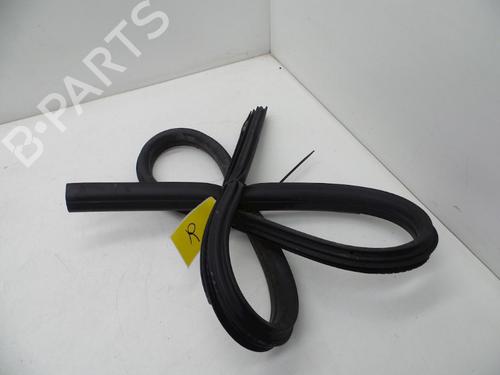 Rubber door seal VOLVO C70 II Convertible (542) T5 31256243