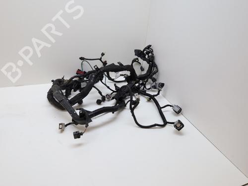 Wiring harness VOLVO V40 Hatchback (525) D3 | BP18636575E16 