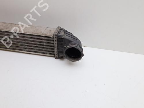 Intercooler MERCEDES-BENZ B-CLASS Sports Tourer (W245) B 200 TURBO (245.234) | BP22346867M30 