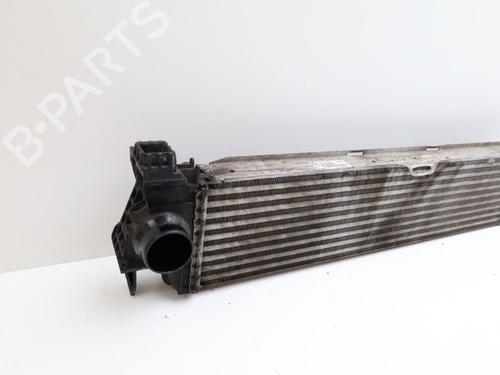 Intercooler MERCEDES-BENZ VITO Van (W447) 111 CDI (447.601, 447.603, 447.605) | BP22432719M30 