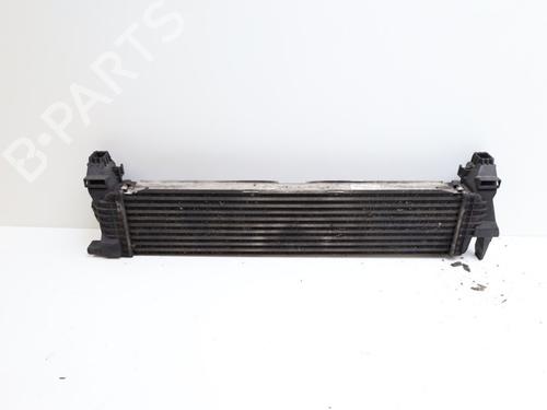 Intercooler MERCEDES-BENZ VITO Van (W447) 111 CDI (447.601, 447.603, 447.605) | BP22432719M30 