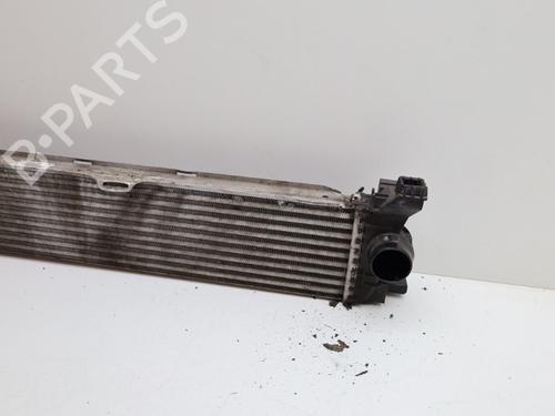 Intercooler MERCEDES-BENZ VITO Van (W447) 111 CDI (447.601, 447.603, 447.605) | BP22432719M30 