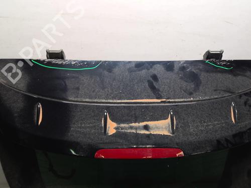 Tailgate RENAULT MEGANE III Coupe (DZ0/1_) 1.9 dCi (DZ0N, DZ0J, DZ1J, DZ1K) | BP18227543C6 