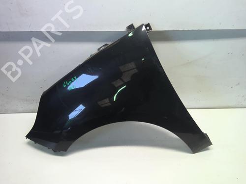 Guarda-lamas esquerdo Guarda-lamas esquerdo RENAULT SCÉNIC III (JZ0/1_) 1.5 dCi (106 hp) 18223900 18223900