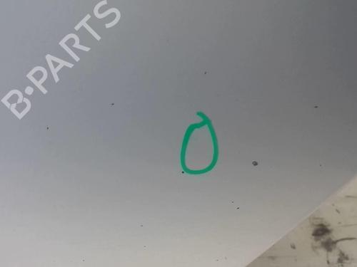 Left rear door RENAULT VEL SATIS (BJ0_) 2.2 dCi (BJ0E, BJ0F) | BP18218393C4 
