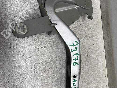 Hinge/Door check strap RENAULT CLIO IV (BH_) 1.5 dCi 75 | BP27674899C146 