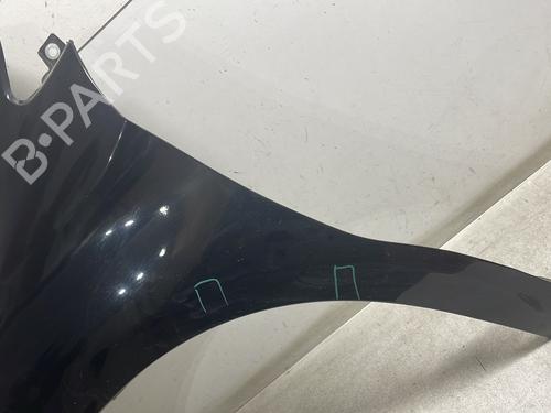 Left front fenders CITROËN DS4 (NX_) 1.6 HDi 115 | BP29498569C41 