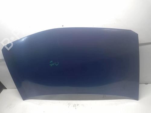 Hood RENAULT MEGANE II (BM0/1_, CM0/1_) 1.9 dCi | BP18217834C1 