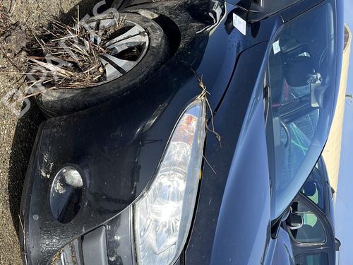 Støtfangerbjelke foran RENAULT MEGANE III Hatchback (BZ0/1_, B3_) 1.5 dCi (BZ09, BZ0D, BZ1W, BZ29, BZ14) | BP30670178C109