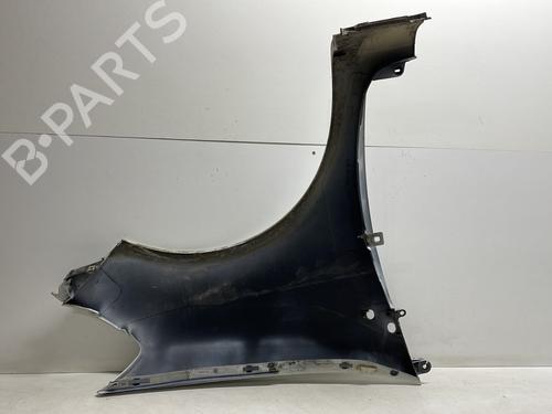 Left front fenders RENAULT CLIO III (BR0/1, CR0/1) 1.5 dCi (C/BR0G, C/BR1G) | BP24032487C41 
