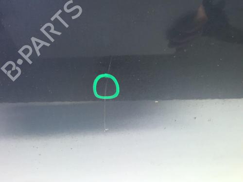 Left front door VOLVO C30 (533) 1.6 D | BP18213817C2 