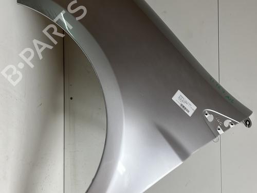 Used Left front fenders RENAULT CLIO III (BR0/1, CR0/1) 1.5 dCi (C/BR0G, C/BR1G) (68 hp) 22749123