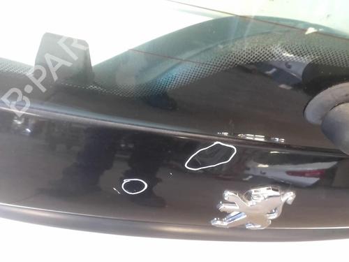 Used Tailgate PEUGEOT 206+ (2L_, 2M_) 1.4 i (2LKFWA, 2MKFWA) (75 hp) 18224289