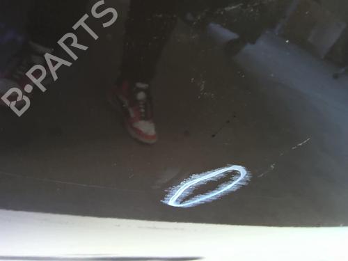 Left rear door RENAULT SCÉNIC III (JZ0/1_) 1.9 dCi (JZ0J, JZ1J, JZ1K, JZ1S) | BP21899561C4 