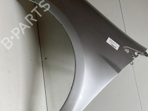 Left front fenders RENAULT CLIO III (BR0/1, CR0/1) 1.5 dCi (C/BR0G, C/BR1G) | BP22749123C41 