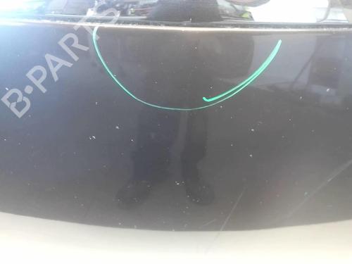Hood LANCIA YPSILON (843_) 1.3 D Multijet (843.AXF11, 843.AXF1A, 843.AXM11,... | BP18208653C1 