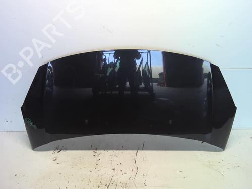 Used Hood Hood CITROËN C3 II (SC_) 1.6 HDi 90 (90 hp) 18219378 18219378