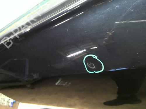 Left rear door RENAULT KOLEOS I (HY_) 2.0 dCi (HY0K) | BP25276502C4 
