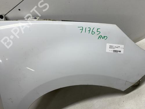 Right front fenders RENAULT SCÉNIC III (JZ0/1_) 1.5 dCi | BP24032632C42 