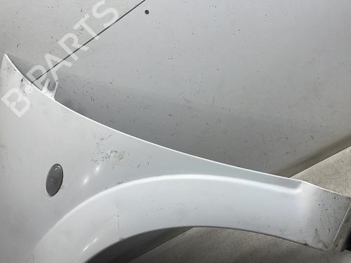 Left front fenders CITROËN C3 I (FC_, FN_) 1.6 16V | BP29481657C41 