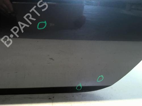 Left front door RENAULT CLIO III (BR0/1, CR0/1) 1.5 dCi (C/BR0G, C/BR1G) | BP18229886C2 