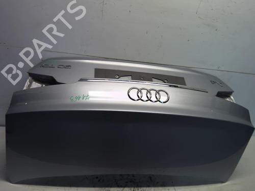 Tailgate AUDI A4 B9 (8W2, 8WC) 30 TDI Mild Hybrid | BP22654213C6 