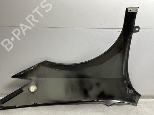 Left front fenders RENAULT LAGUNA Coupe (DT0/1) 2.0 dCi (DT01, DT08, DT09, DT0K, DT12, DT1C, DT1D, DT1M,... | BP29174123C41 