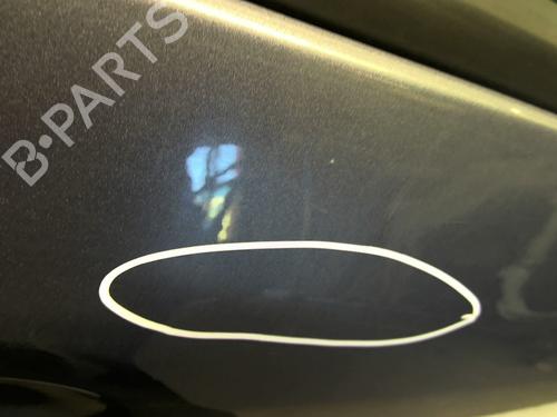 Right front door CITROËN C3 Picasso (SH_) 1.6 HDI 90 | BP29587118C3 
