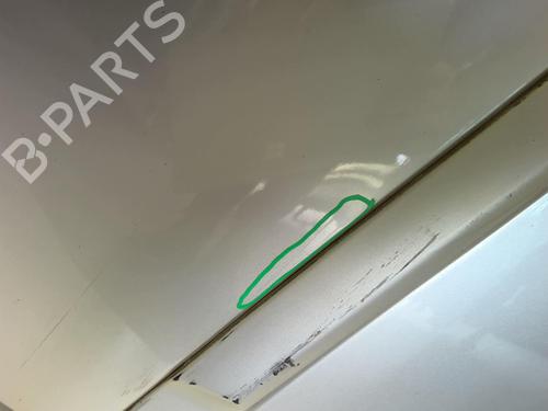 Right rear door RENAULT CLIO III (BR0/1, CR0/1) 1.2 16V (BR02, BR0J, BR11, CR02, CR0J, CR11) | BP18785575C5 