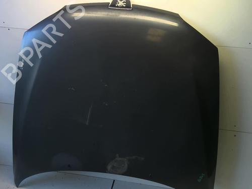 Used Hood PEUGEOT 406 Coupe (8C) 2.0 16V (135 hp) 18232273