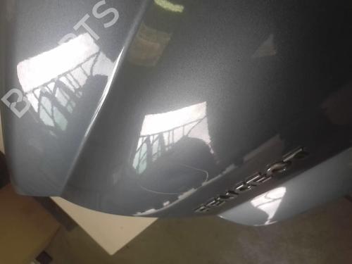 Tailgate PEUGEOT 407 (6D_) 2.0 HDi (6DRHRH) | BP18228333C6