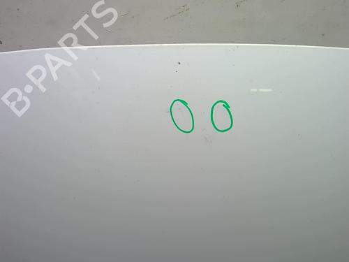Used Hood RENAULT SCÉNIC III (JZ0/1_) 1.5 dCi (106 hp) 18207851