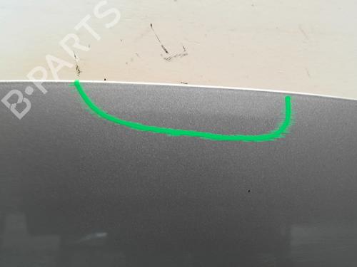 Hood CITROËN DS3 (SA_) 1.6 BlueHDi 100 | BP24613208C1