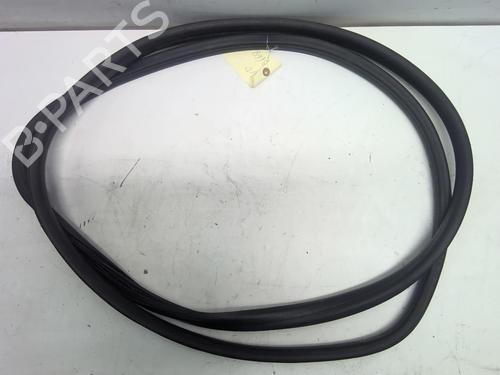 Used Rubber door seal RENAULT SCÉNIC III (JZ0/1_) 1.5 dCi (110 hp) 18220028