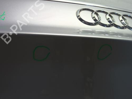 Tailgate AUDI A4 B9 (8W2, 8WC) 30 TDI Mild Hybrid | BP22654213C6 