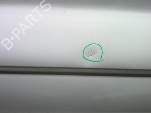 Left front door RENAULT TRAFIC II Van (FL) 2.0 dCi 115 (FL01, FL0U, FL00, FL0H, FL0M) | BP18209922C2