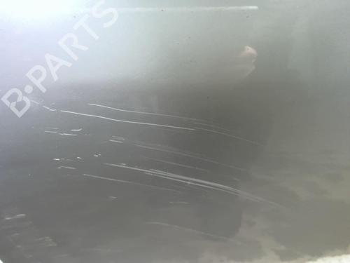 Used Left front door RENAULT SCÉNIC III (JZ0/1_) 1.5 dCi (106 hp) 18222507