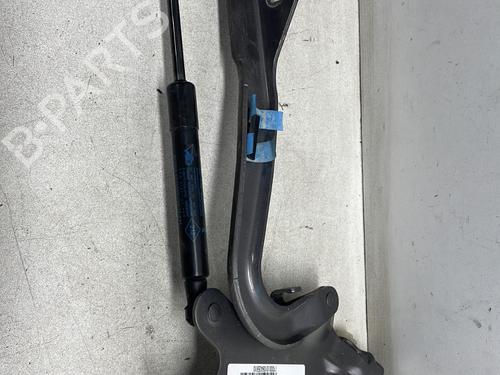 Used Hinge/Door check strap RENAULT SCÉNIC III (JZ0/1_) 1.5 dCi (110 hp) 26156604
