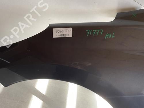 Left front fenders PEUGEOT 207 CC (WD_) 1.6 HDi | BP24112942C41 