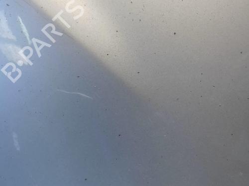 Right front fenders RENAULT CLIO III (BR0/1, CR0/1) 1.5 dCi (BR17, CR17) | BP18224279C42 