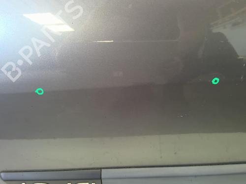 Used Left front door RENAULT MEGANE II (BM0/1_, CM0/1_) 1.9 dCi (BM0G, CM0G) (120 hp) 18210601