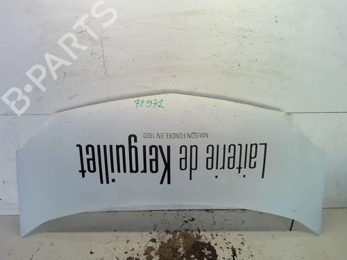 Used Hood RENAULT KANGOO Express (FW0/1_) Z.E. (FW0Z, FW1Z) (60 hp) 27637636